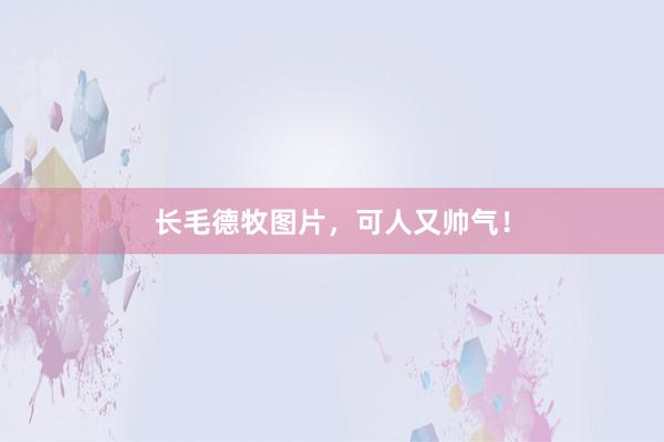 长毛德牧图片，可人又帅气！